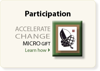 Micro gift like micro finance helps support artists and the arts organization